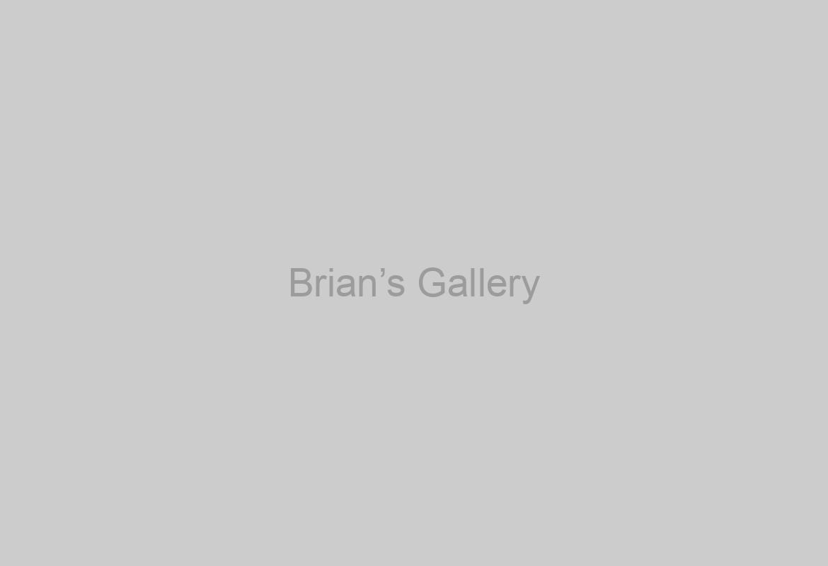 Brian’s Gallery